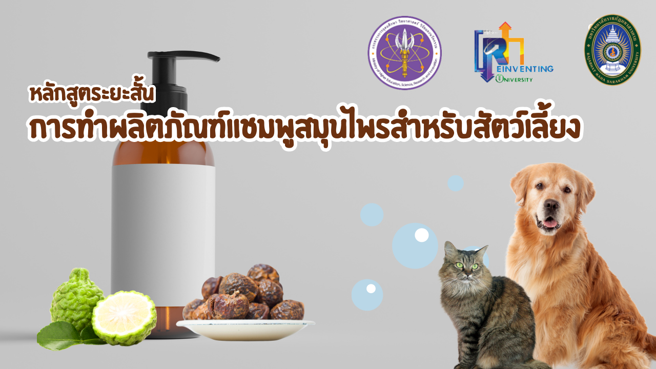 การทำผลิตภัณฑ์แชมพูสมุนไพรสำหรับสัตว์เลี้ยง RMULLL01-50-002